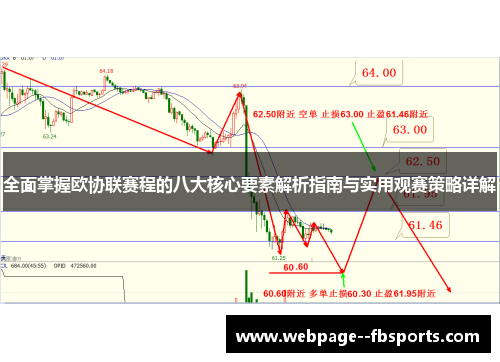 全面掌握欧协联赛程的八大核心要素解析指南与实用观赛策略详解
